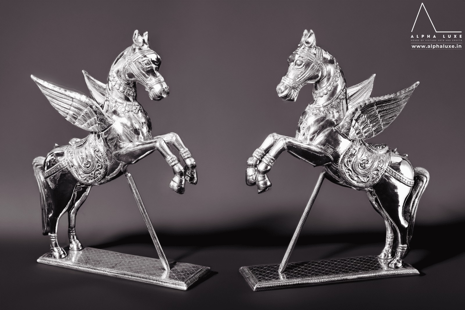 WhatsApp Image 2023-10-21 at 11.50.00 AM (1).jpeg